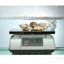 두홍 물방개 6kg 2g 단위 완전 방수 전자 저울