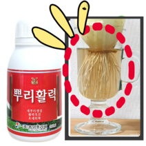 [시골생활 비료] 뿌리발근제 뿌리활력 250ml 뿌리 발근촉진제 삽목 식물 뿌리 활력제 영양제