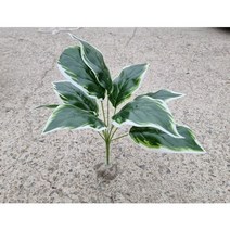 뉴런 NRC 인조 마리안느 식물 비바리움