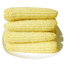 강원도 정선 냉동 옥수수 20개 미백 찰옥수수 수확후 일체의 첨가물 없이 급냉하여 제철 옥수수맛과 차이가 없습니다. 년중 판매 산지 직배송
