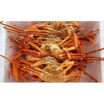 (속초바다애) 속초 홍게 국물용 3KG 자숙홍게 찜후 포장 산지직송