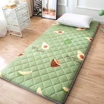 SKANDSALO 다다미 뉴타입 침대매트 편리한침대 두꺼운보호 접이식 매트 싱글 매직 히트상품, E