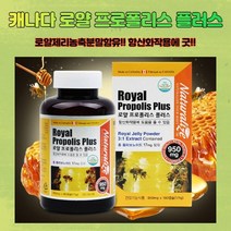 캐나다 로얄프로폴리스플러스 950mgX180캡슐(6개월분) / 로얄제리농축분말함유 항산화작용