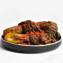 전남도지사인증 여수 돌산 갓김치 국내산재료100% 맛있는 갓김치 2kg [10시주문 오늘출발], 여수돌산 갓김치 2kg