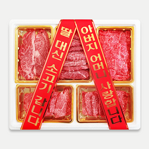 우마왕 마장동 한우 1++ 투뿔 구이용 선물세트 [리본메시지 감동두배], 1kg, (한아름)등심+갈비살+눈꽃슬라이스+특수부위3종