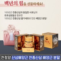 천정양 산삼배양근 천종산삼 100년근 줄기세포 배양근100% 분말 백년의힘 40g, 천정양 백년의힘 40g