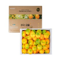 제주농협 최상품엄선 하우스감귤 (GAP우수관리) 1.8kg / 10월10일부터 출하, 중대과, 1개