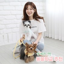 리토가토 러비 커스텀 캐릭터 강아지 하네스 + 리드줄 세트 옐로우 (컴퓨터 자수) 동물학교 추천, 베이지