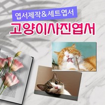 모두카피 AM-05-01 고양이엽서 양단면엽서 opp, 단품엽서15(1종-50장)