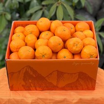 카라향 제주 감귤 귤로향 1kg 2kg 4.5kg, 4.5kg 소과(60-80과), 1개, 소과(60-80과)