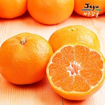 (보섭이네푸드) 1월17일 오전10시까지 주문시 명절전배송 보섭이네푸드 가락시장 직송 유명산지 제주 ...