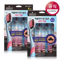 핑크솔트 담은 칫솔 힘있는 차콜 미세모 4입 2개