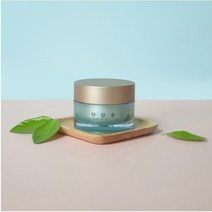약담초 이일광 올인원 고보습 크림 (미백 주름개선 이중기능성), 1개, 50ml