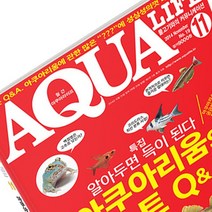 [자연과 사람] 아쿠아라이프 2014년 11월호 ( 아쿠아리움의 베스트 Q&A)