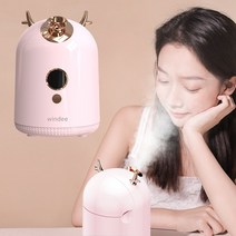 Windee 얼굴 스팀기 페이스 스티머 수분 공급 미스트기 보습 분리형 물탱크 250ML, 핑크, 1083