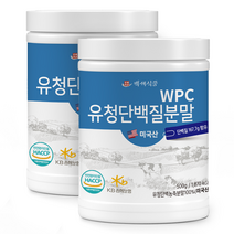 WPC유청단백질분말100% 500g통 미국산 HACCP 인증제품, 2통, 500g
