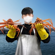 대게포크 증정 [오픈씨마켓] 선주직송 살이 꽉찬 100% 국산 포항 구룡포 자숙 대게 수율보장 (명품/박달), 국산 박달대게(특대) 살수율 80%이상 5마리