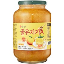 담터 꿀유자차A, 1개입, 1개, 2kg