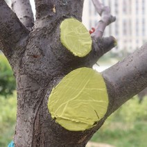 나무 접목 보호제 연고 과수원 도포제 톱신페스트, 250g+브러쉬