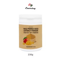 에너데이 와일드망고추출분말 망고씨앗 야생망고종자 아프리칸망고 다이어트간식 식이섬유 베타카로틴 엘라그산 비타민 렙틴 칼슘 아디포넥틴 단백질, 1개, 230G