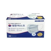 대한 국산 일회용마스크 대형 흰색 개별포장 50매, 단품