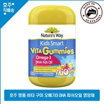 호주 명품 네이쳐스웨이 스마트 키즈 어린이 오메가 3 영양제 120 구미, 1병, 120정
