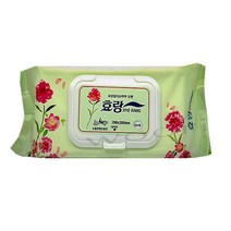 케어메이트 효랑 물티슈 빅사이즈 캡형 60매*4개 엠보싱 특대형, 4개, 4개