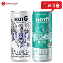 [롯데칠성 Hot6 더킹] 핫식스더킹 포스 12캔 + 러쉬 12캔/에너지드링크/무료배송
