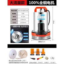 농업용양수기 소형 엔진 물 펌프 DC 잠수할 수 있는 48v60v72v 전기 차량 작은, 큰 흐름 2 인치 48v60v 범용 550w15m