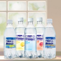 동아오츠카 [동아오츠카] 라인바싸 탄산수 500ml 총 40입 (택2/샤인머스캣.파인애플.플레인.레몬.자몽/20입 2박스), 자몽 1박스/★파인애플 1박스