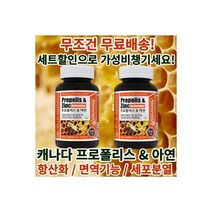 캐나다 직수입 프로폴리스 아연 비염 염증 면역력 에 좋은 영양제 약 90 캡슐 2개, 캐나다 직수입 프로폴리스 아연 비염 염증 면역력 에 좋