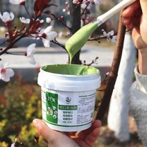 나무 상처 연고 도포제 보호제 과수접목 치료제, 500g 치유제 (브러시 녹색 보내기)
