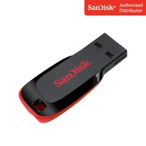 샌디스크 블레이드 USB 플래시 드라이브 SDCZ50, 32GB
