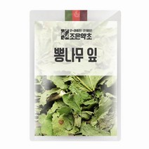 굿허브 뽕나무잎상엽뽕잎 300g, 단품