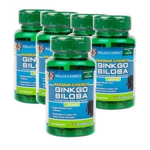 홀랜드앤바렛 영국 Holland & Barrett Ginkgo Biloba 멕시멈스트렝스 징코빌로바 120mg 30캡슐, 5팩
