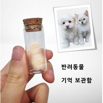 반려동물 기억보관함 고양이수염보관함, 2개
