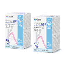 메가세움 포르테 2개월분 치아 형성에 필요한 뼈 칼슘 치 약