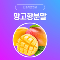 [한솔식품원료] 망고향분말 (Mango flavor powder) (분말 Type) [50g/100g/1kg/5kg/10kg], 50g