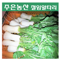 [국내제조] 식자재 가락시장 유일 김치전문점 주은 알타리 총각무절임 2kg, 알타리 2kg 아이스박스 포장