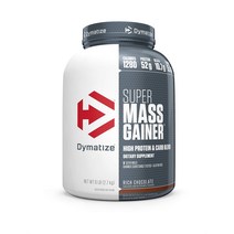 다이마타이즈 슈퍼 매스 게이너 리치초콜릿 5.4kg, 1개, 기본