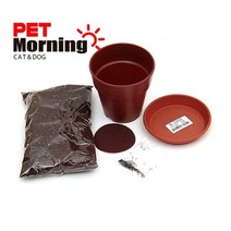 캣닙재배세트 냥이 캣닙키우기 캣그라스 반려동물, 1개