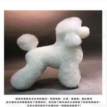 비숑 위그 애견미용 연습 전체 위그 털 머리 모델 미용사 자격증, 기본연습용푸들헤어