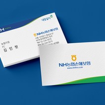 보험 회사 명함 사무실 제작 인쇄 소량 고급 디자인, 양면200매, 고급펄지(스타드림)
