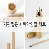 화분 지관필통 n 싹이나는 씨앗연필 세트, 단품