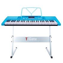 토이게이트 교습용 디지털 피아노, 블루, TYPE AA