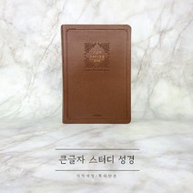 큰글자 스터디성경 특대단본 브라운