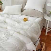 [모던하우스] 말랑찰떡 극세사 퀸이불 아이보리 200X220