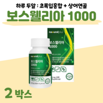 인도산 초록입 보스웰리아 초록 홍합 하루 2알 울금 글루코사민 상어 연골 홈쇼핑 영양제 프리미엄 성분 가격 효능 비교 부모님 엄마 아빠 어르신 선생님 등산 조깅 트래킹, 2개, 1064mg x 90정