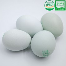 친환경 계란 무항생제 달걀 초란 청계알 난각번호 2번, 청계알 15구