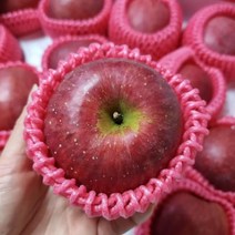 푸드마실 껍질째먹는 경북 청송 안동 꿀사과, 사과 10kg(44~47과), 1개
